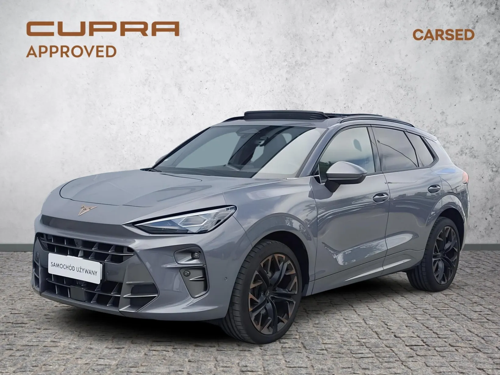 Cupra Terramar VZ 265KM 2025