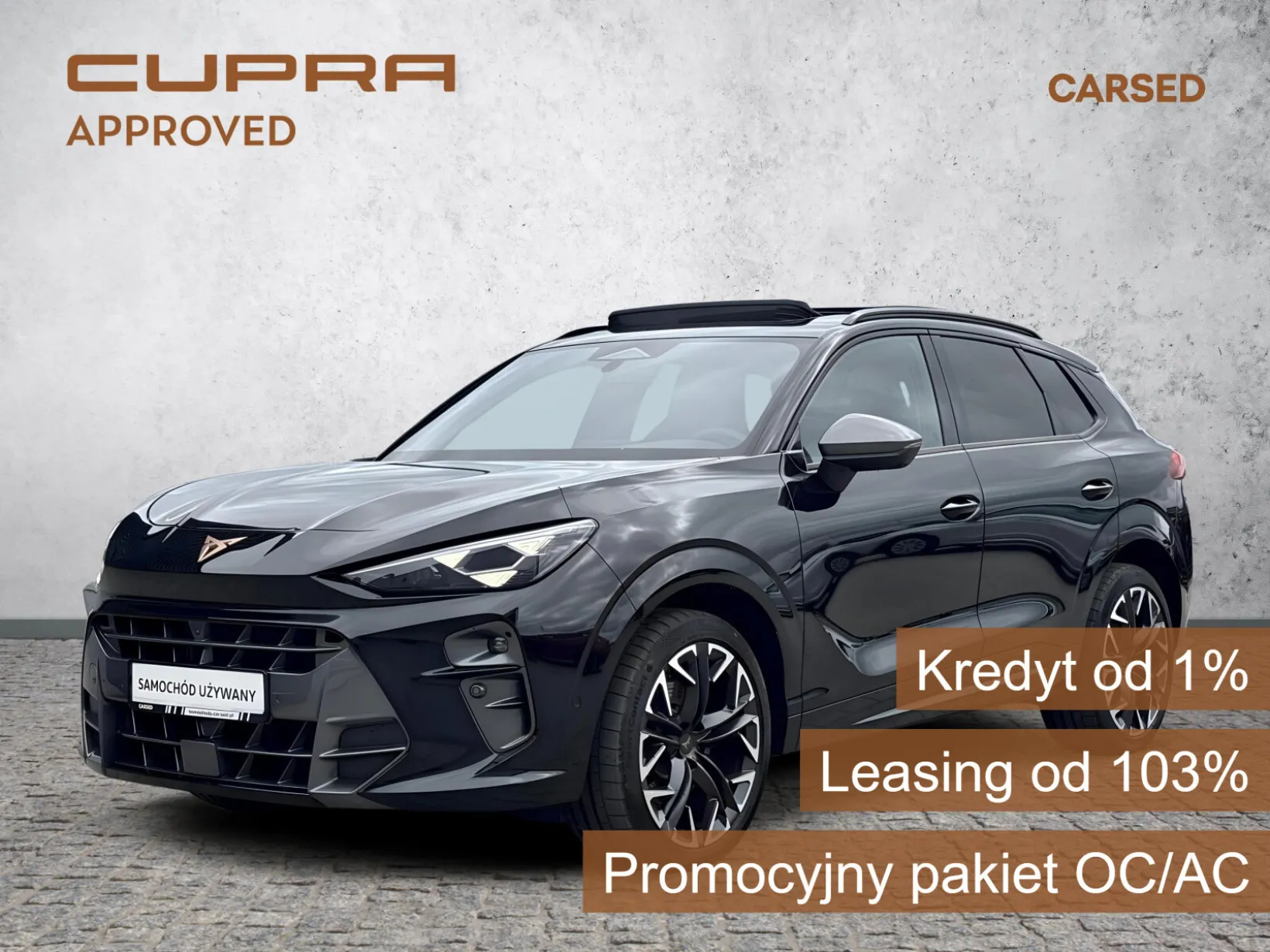 Cupra Terramar 2.0TSI 265KM 4Drive VZ DSG 2025