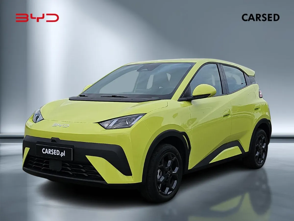BYD Dolphin Surf 2026
