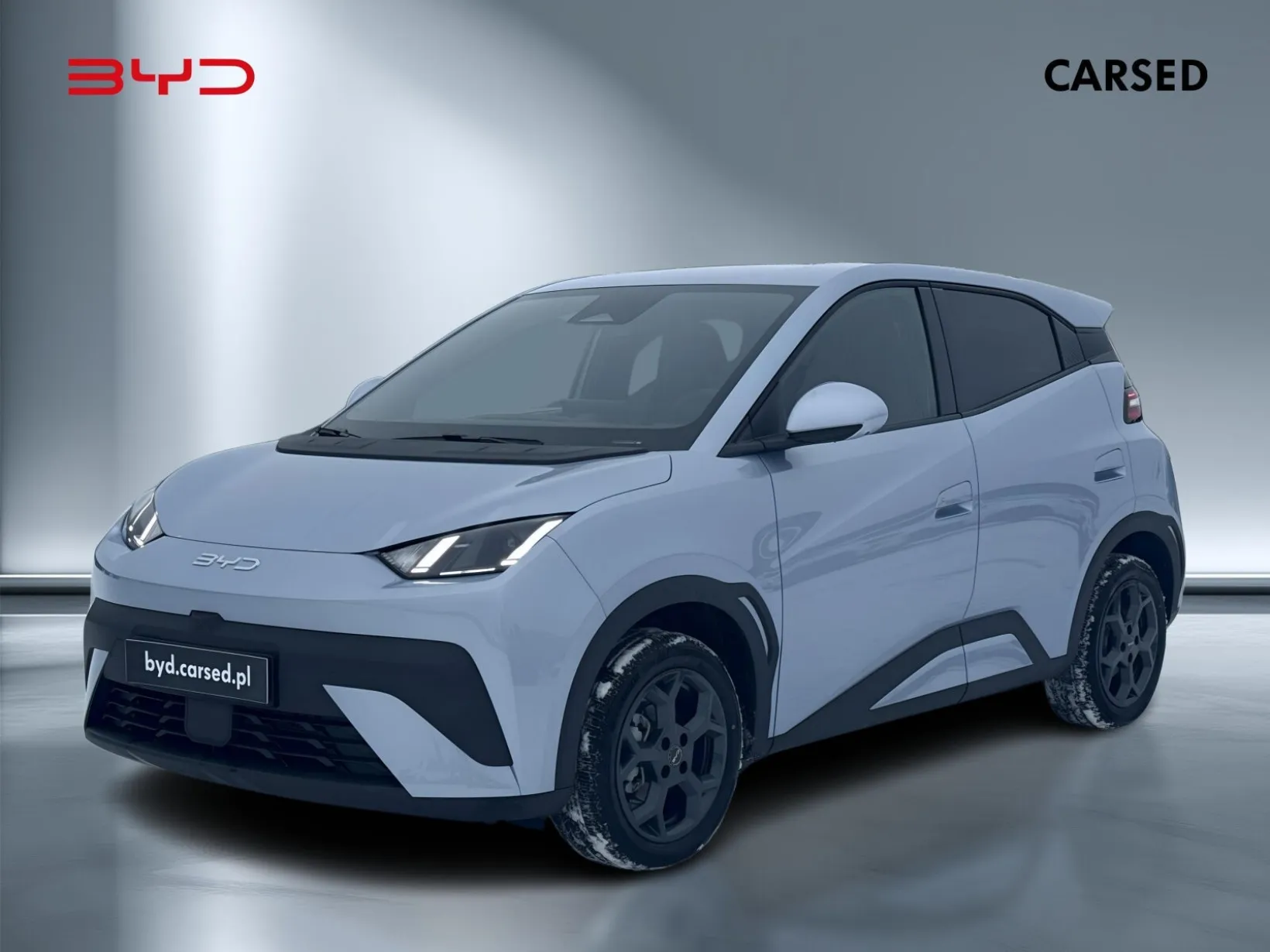 BYD Dolphin Surf Comfort 2026